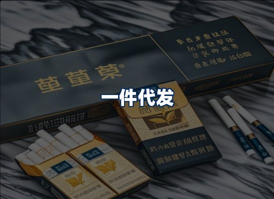 专业团队办公环境